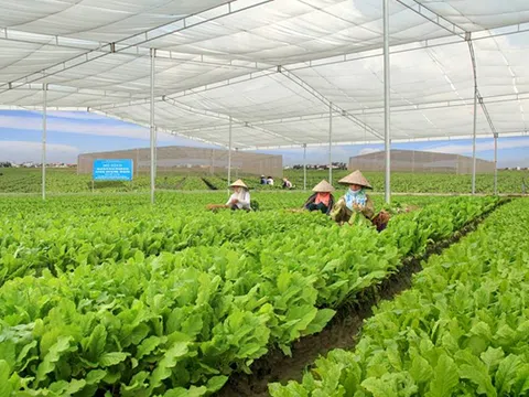 Câu chuyện về đất, và âm mưu thâu tóm để phân lô bán nền tại trang trại của Vinamit ở Bình Dương